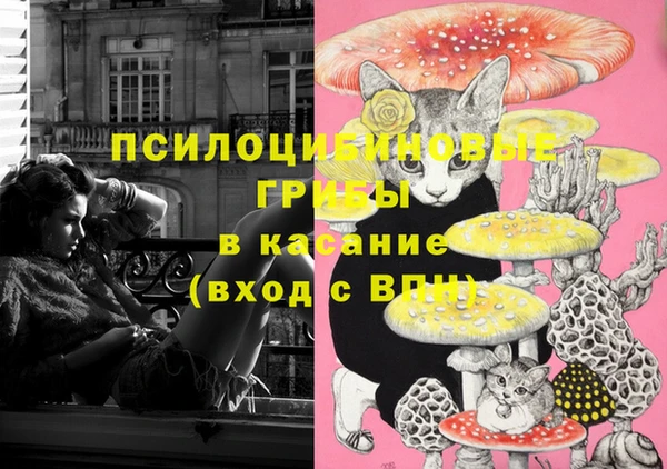 стафф Аркадак